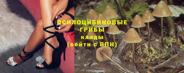 ПСИЛОЦИБИНОВЫЕ ГРИБЫ Покачи